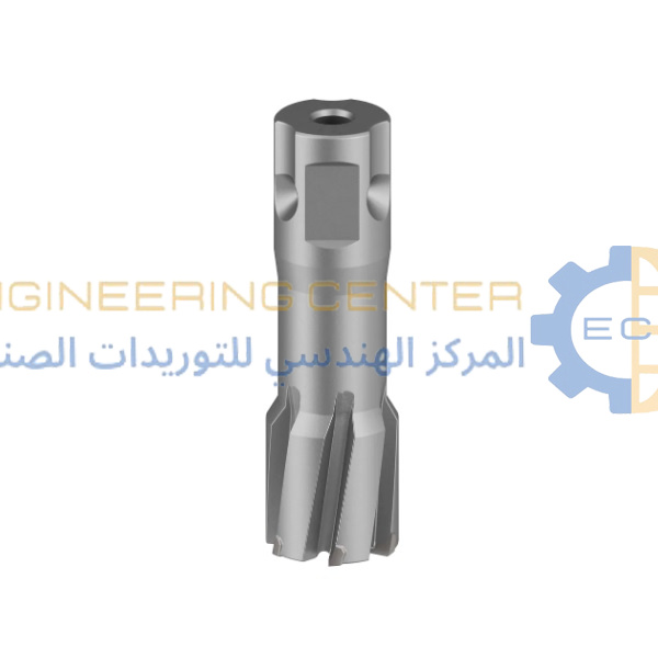 بنطة مغناطيسية طول 5 سم × 20مم بوش